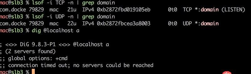 Docker for Mac 創(chuàng)建的dnsmasq容器連不上/不工作的問(wèn)題
